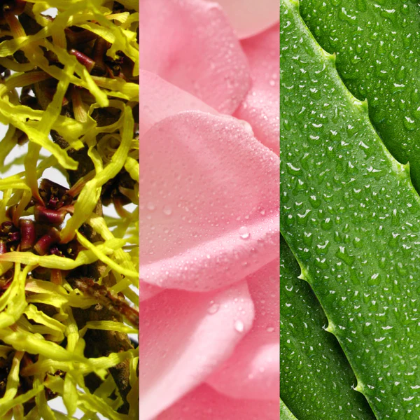 Witch Hazel & Rosewater Toner 3